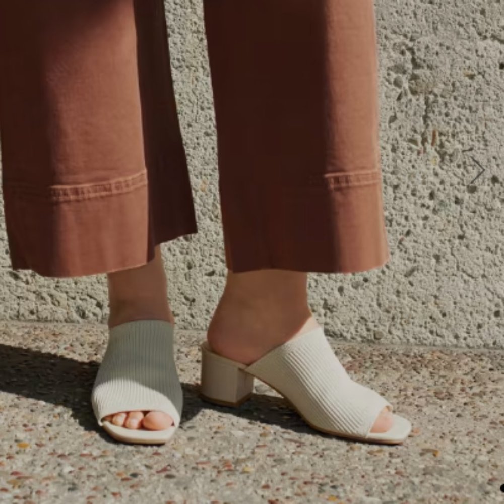 Everlane Glove Mule in ReKnit